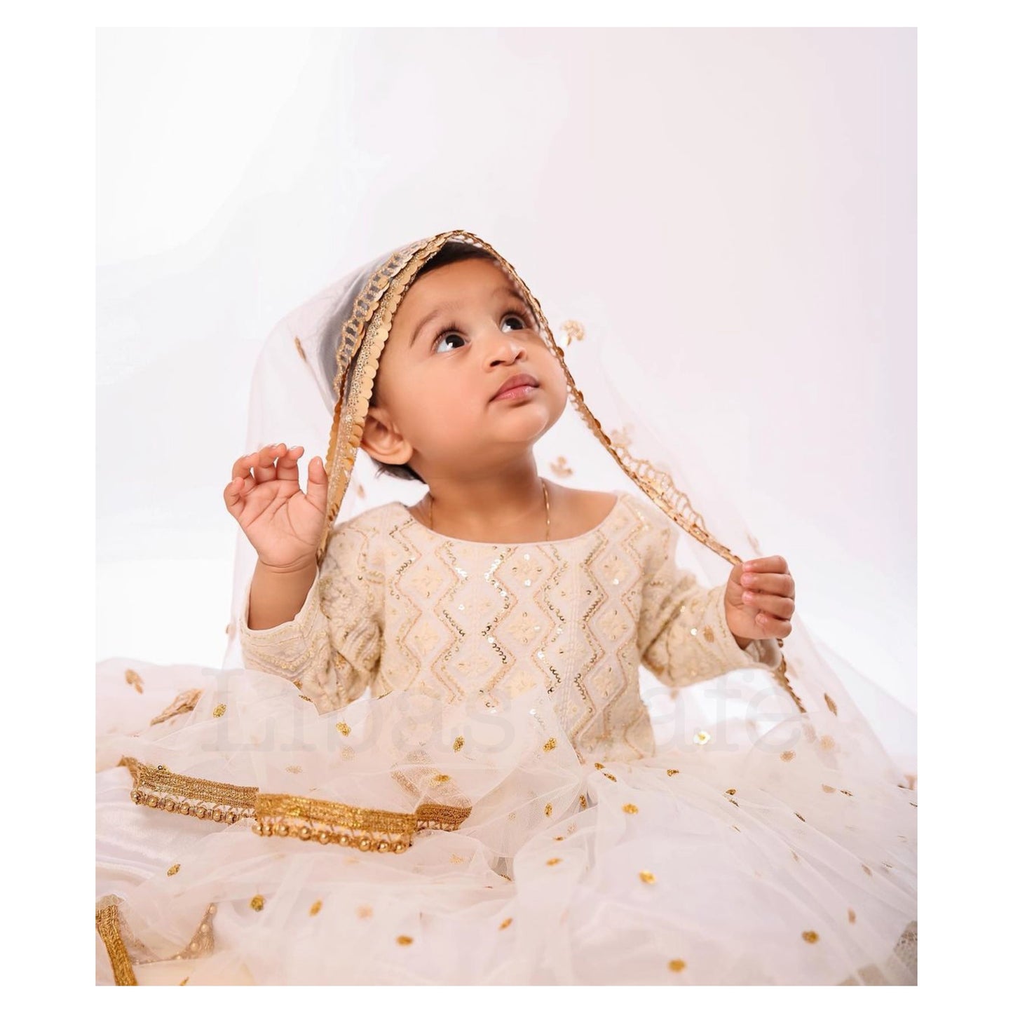 White Net Lakhnavi Frock/suit