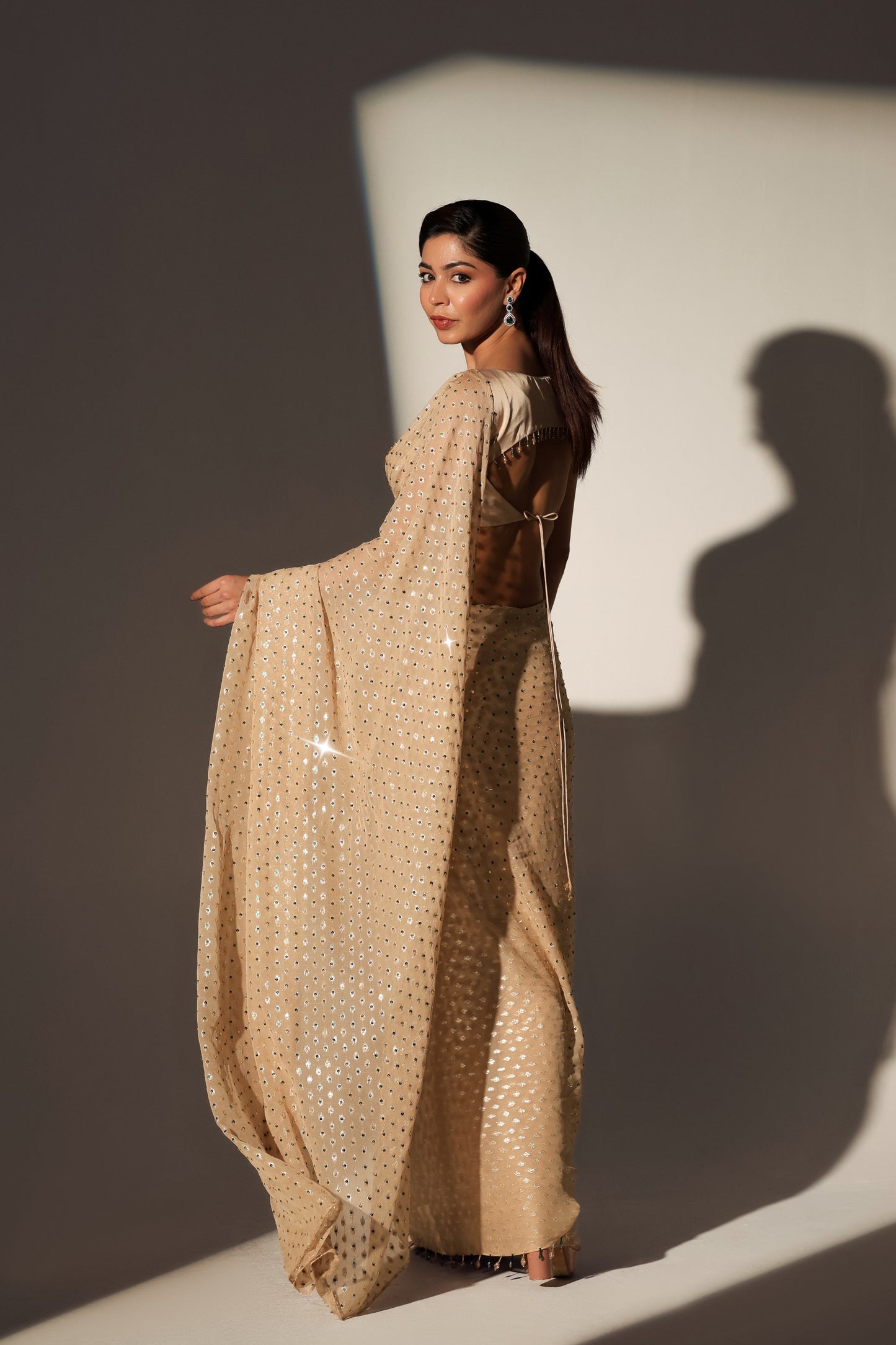CHANDNI GEORGETTE SAREE